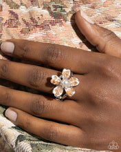 Load image into Gallery viewer, Chiseled Complete Look