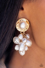 Load image into Gallery viewer, Fiercely 5th Avenue - 0823