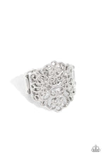 Load image into Gallery viewer, Glistening Gentry - Silver  (R851)

