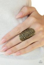 Load image into Gallery viewer, Paisley Paradise - Brass (R295)

