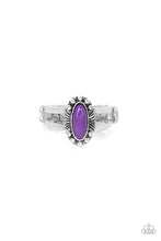 Load image into Gallery viewer, Zest Quest - Purple (R134)
