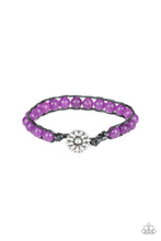 Load image into Gallery viewer, Daisy Guru - Purple
