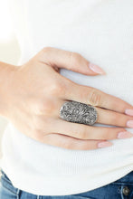 Load image into Gallery viewer, Paisley Paradise - Silver (R415)
